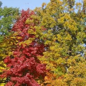 Meet your Posher, Janelle